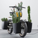 A photo of a Specialized Globe bike laden with large cactus plants.